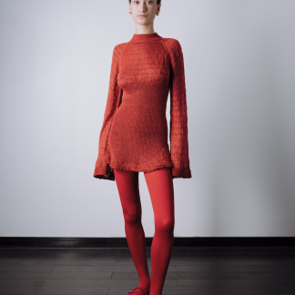 Fire Dragon Mini Dress
